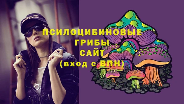PSILOCYBIN Дмитровск