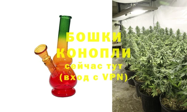 PSILOCYBIN Дмитровск