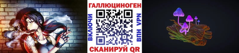 Купить где  Славск  Галлюциногенные грибы Psilocybine cubensis 